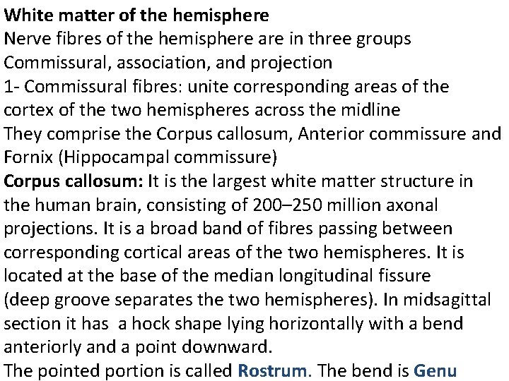 White matter of the hemisphere Nerve fibres of the hemisphere are in three groups