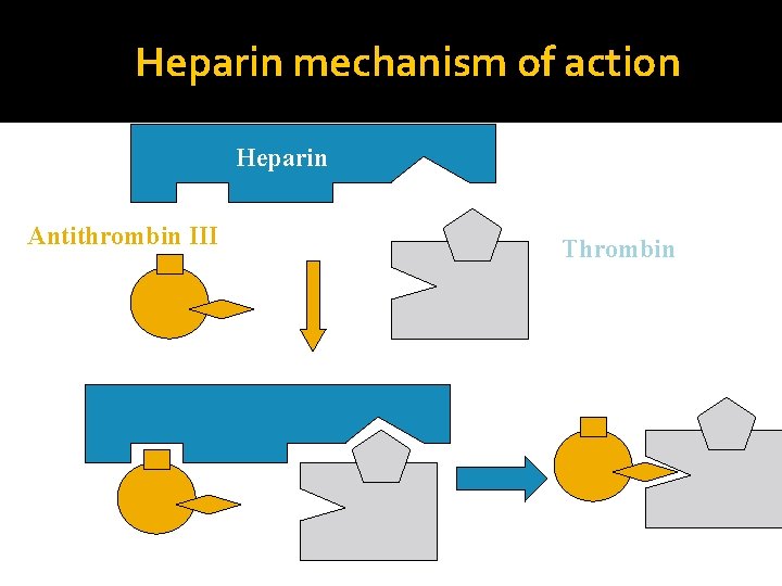 Heparin mechanism of action Heparin Antithrombin III Thrombin 