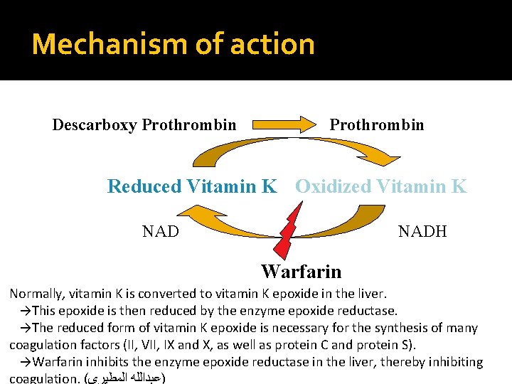 Mechanism of action Descarboxy Prothrombin Reduced Vitamin K Oxidized Vitamin K NADH Warfarin Normally,