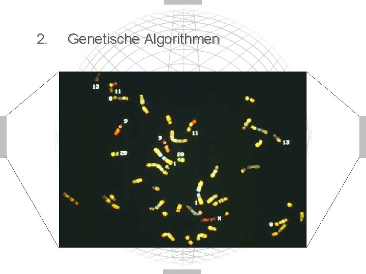 2. Genetische Algorithmen 