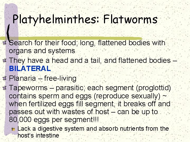 Platyhelminthes: Flatworms Search for their food; long, flattened bodies with organs and systems They