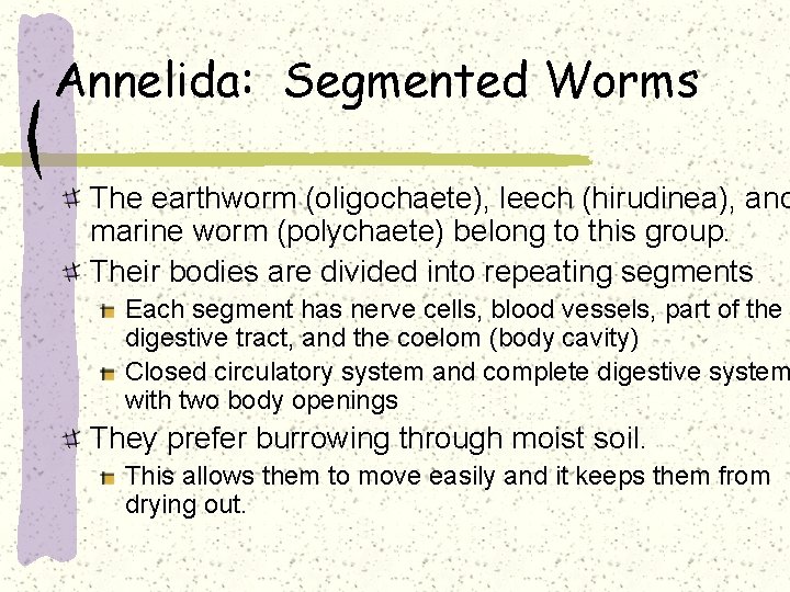 Annelida: Segmented Worms The earthworm (oligochaete), leech (hirudinea), and marine worm (polychaete) belong to