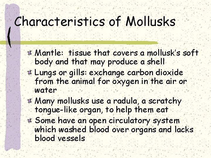 Characteristics of Mollusks Mantle: tissue that covers a mollusk’s soft body and that may