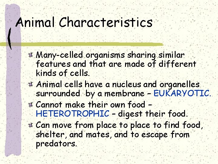 Animal Characteristics Many-celled organisms sharing similar features and that are made of different kinds