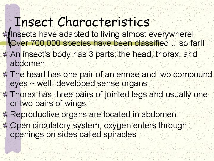 Insect Characteristics Insects have adapted to living almost everywhere! Over 700, 000 species have