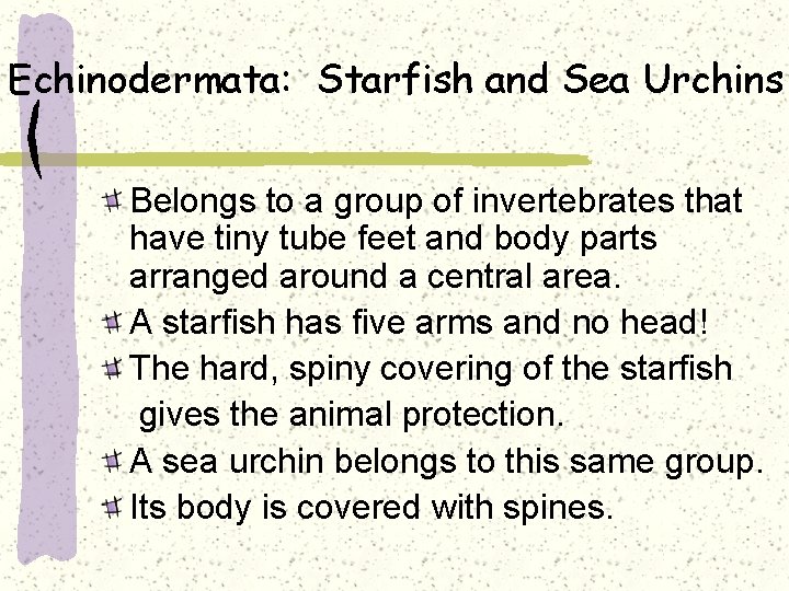 Echinodermata: Starfish and Sea Urchins Belongs to a group of invertebrates that have tiny