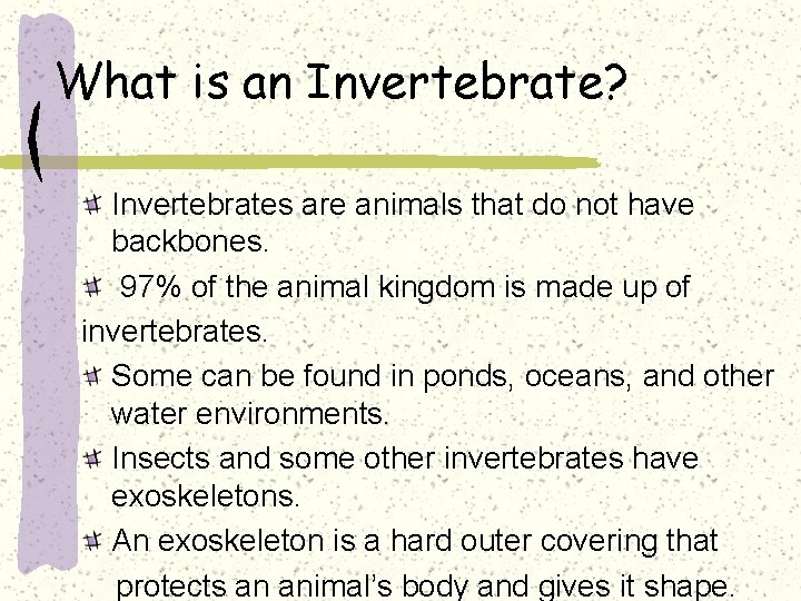 What is an Invertebrate? Invertebrates are animals that do not have backbones. 97% of