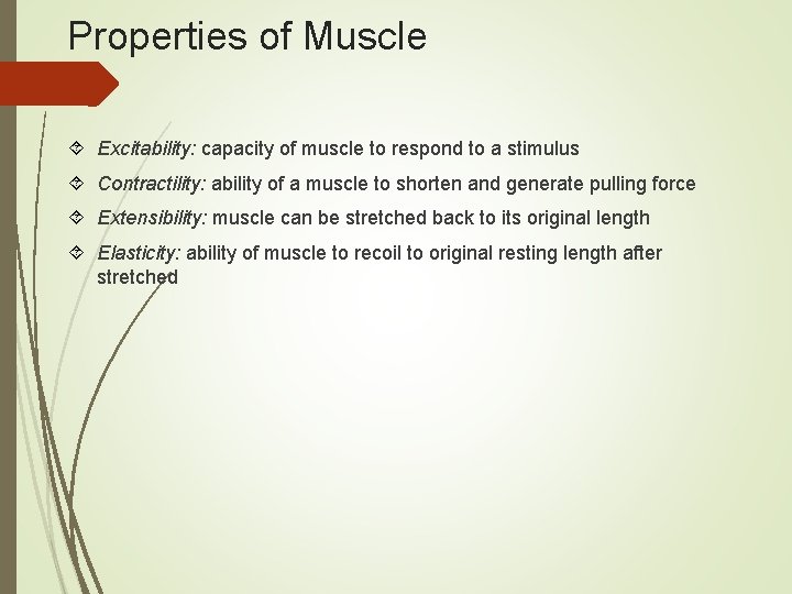 Properties of Muscle Excitability: capacity of muscle to respond to a stimulus Contractility: ability