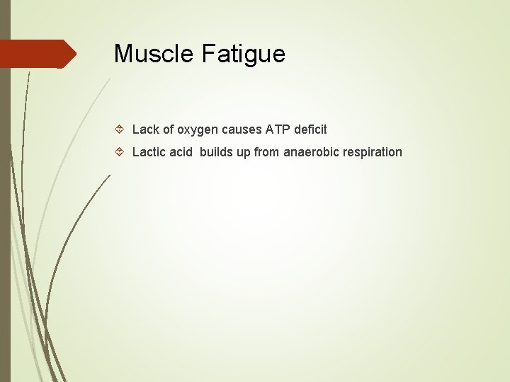 Muscle Fatigue Lack of oxygen causes ATP deficit Lactic acid builds up from anaerobic
