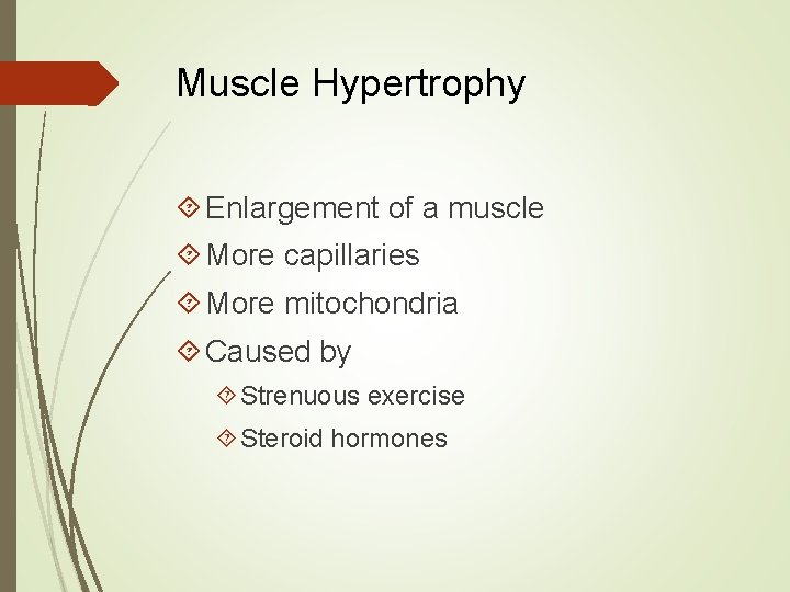 Muscle Hypertrophy Enlargement of a muscle More capillaries More mitochondria Caused by Strenuous exercise