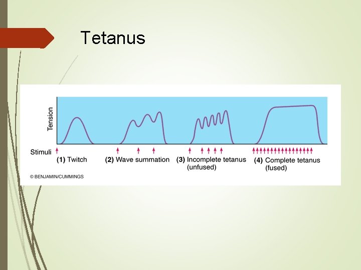 Tetanus 