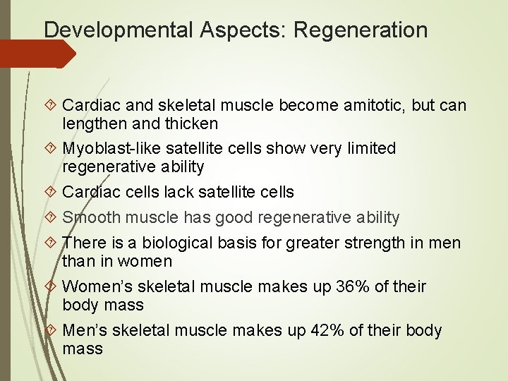 Developmental Aspects: Regeneration Cardiac and skeletal muscle become amitotic, but can lengthen and thicken