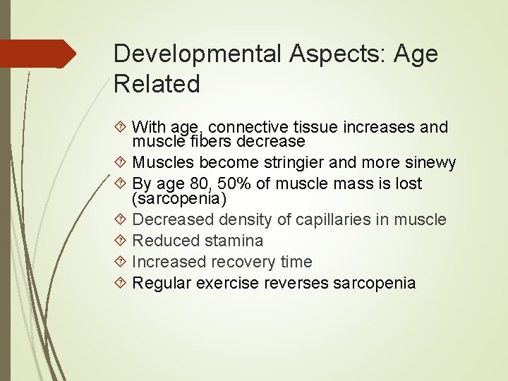 Developmental Aspects: Age Related With age, connective tissue increases and muscle fibers decrease Muscles
