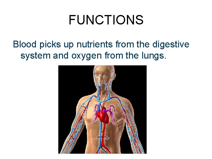 FUNCTIONS Blood picks up nutrients from the digestive system and oxygen from the lungs. FUNCTIONS Blood picks up nutrients from the digestive system and oxygen from the lungs.