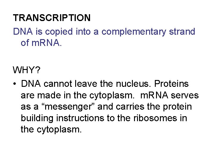 TRANSCRIPTION DNA is copied into a complementary strand of m. RNA. WHY? • DNA