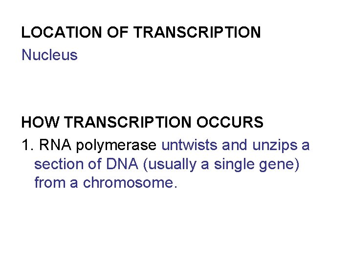 LOCATION OF TRANSCRIPTION Nucleus HOW TRANSCRIPTION OCCURS 1. RNA polymerase untwists and unzips a