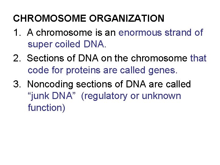 CHROMOSOME ORGANIZATION 1. A chromosome is an enormous strand of super coiled DNA. 2.