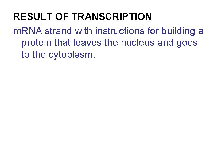 RESULT OF TRANSCRIPTION m. RNA strand with instructions for building a protein that leaves