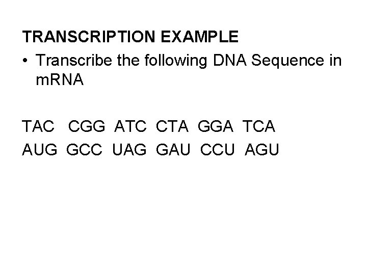 TRANSCRIPTION EXAMPLE • Transcribe the following DNA Sequence in m. RNA TAC CGG ATC