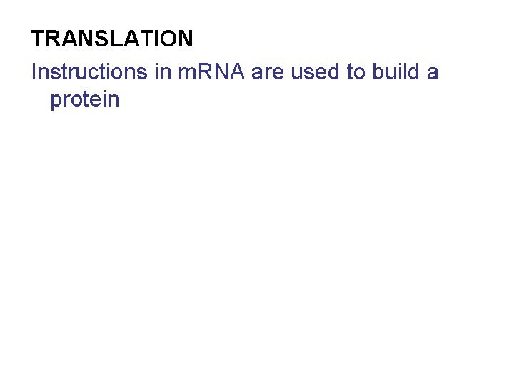 TRANSLATION Instructions in m. RNA are used to build a protein 