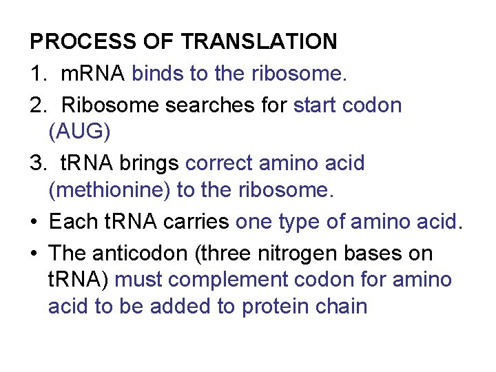 PROCESS OF TRANSLATION 1. m. RNA binds to the ribosome. 2. Ribosome searches for