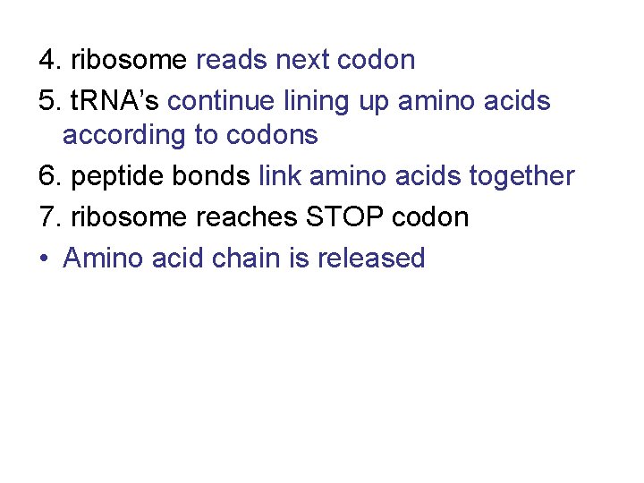 4. ribosome reads next codon 5. t. RNA’s continue lining up amino acids according