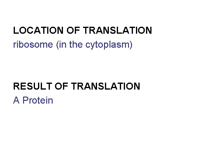 LOCATION OF TRANSLATION ribosome (in the cytoplasm) RESULT OF TRANSLATION A Protein 