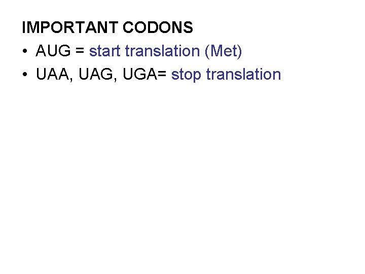 IMPORTANT CODONS • AUG = start translation (Met) • UAA, UAG, UGA= stop translation