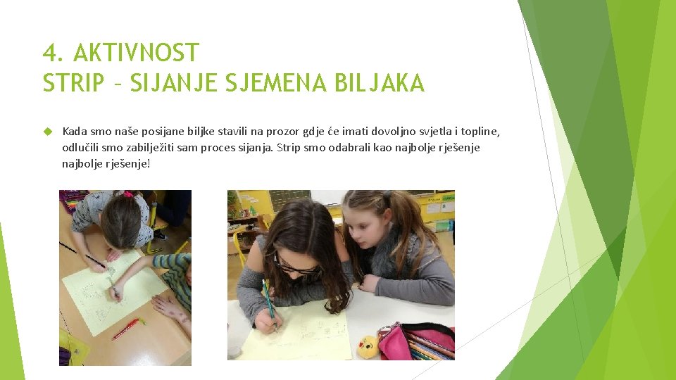 4. AKTIVNOST STRIP – SIJANJE SJEMENA BILJAKA Kada smo naše posijane biljke stavili na