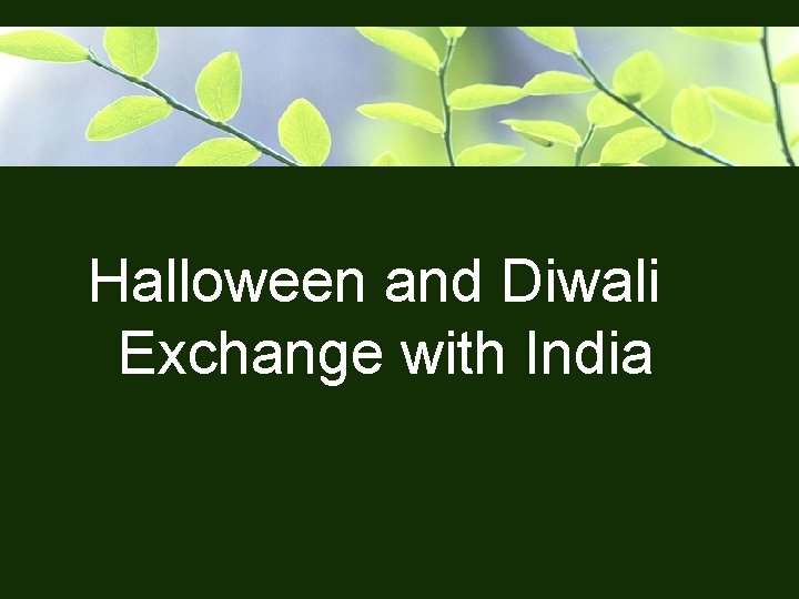 Halloween and Diwali Exchange with India 