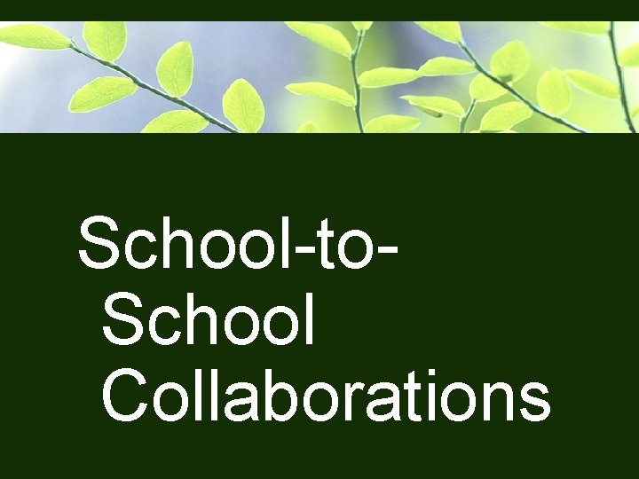School-to. School Collaborations 