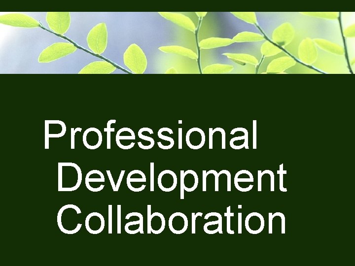 Professional Development Collaboration 