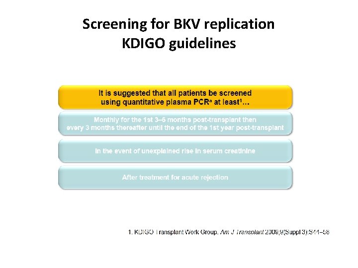 Screening for BKV replication KDIGO guidelines 