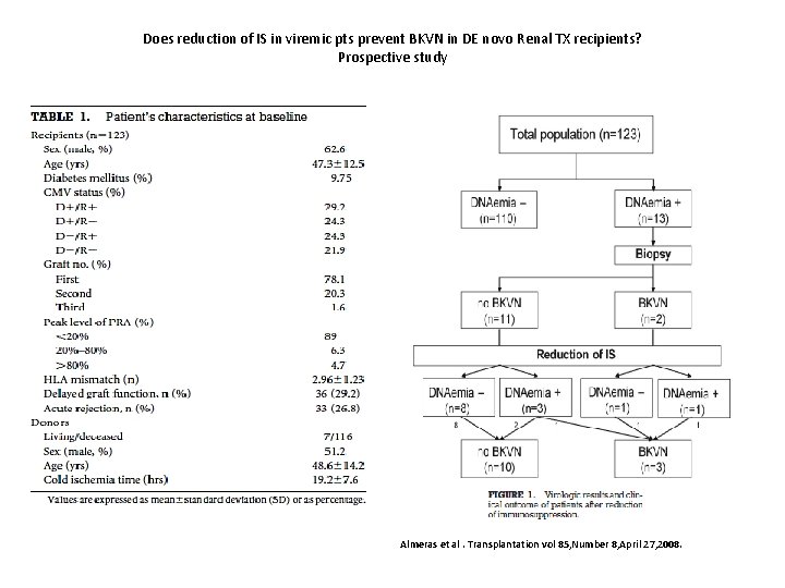 Does reduction of IS in viremic pts prevent BKVN in DE novo Renal TX