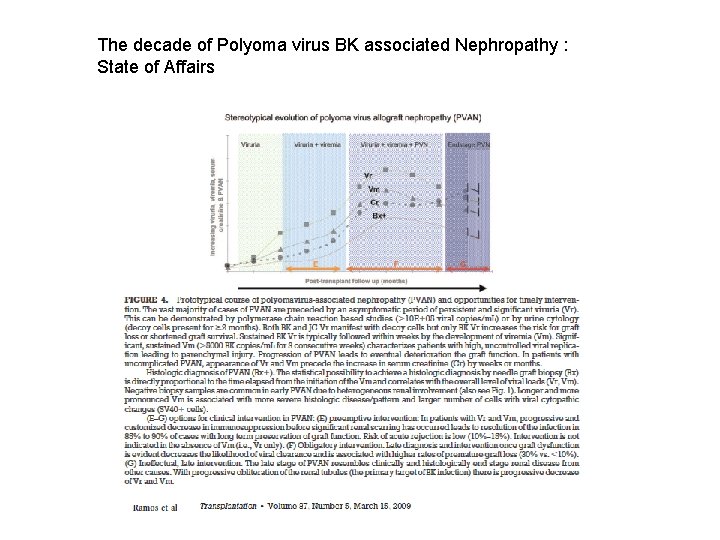 The decade of Polyoma virus BK associated Nephropathy : State of Affairs 