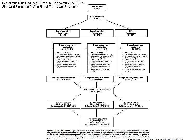 Everolimus Plus Reduced-Exposure Cs. A versus MMF Plus Standard-Exposure Cs. A in Renal-Transplant Recipients