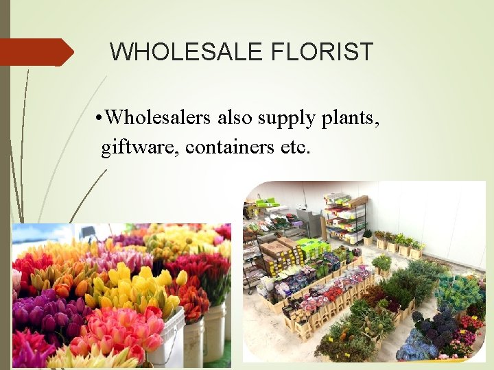 WHOLESALE FLORIST • Wholesalers also supply plants, giftware, containers etc. 