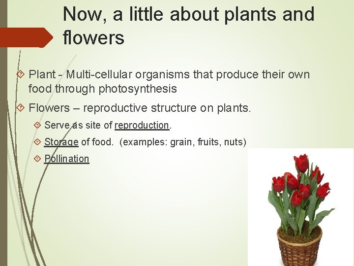 Now, a little about plants and flowers Plant - Multi-cellular organisms that produce their