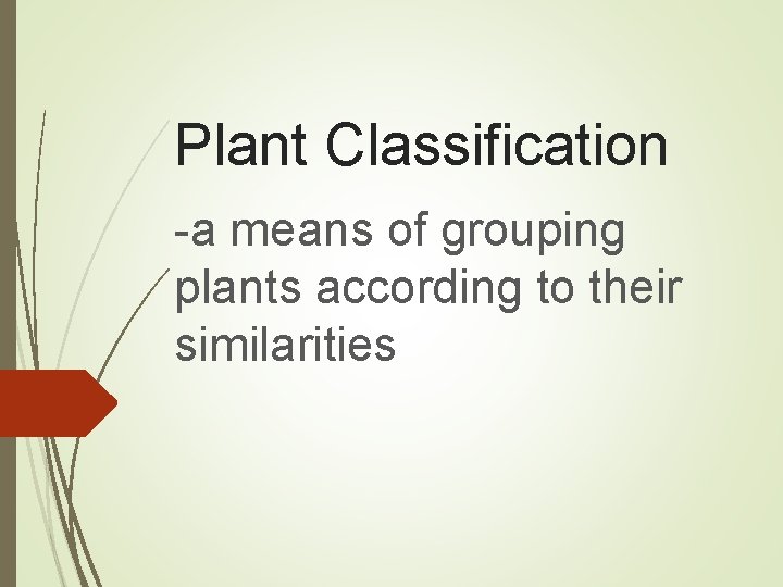 Plant Classification -a means of grouping plants according to their similarities 