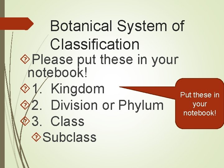 Botanical System of Classification Please put these in your notebook! 1. Kingdom Put these