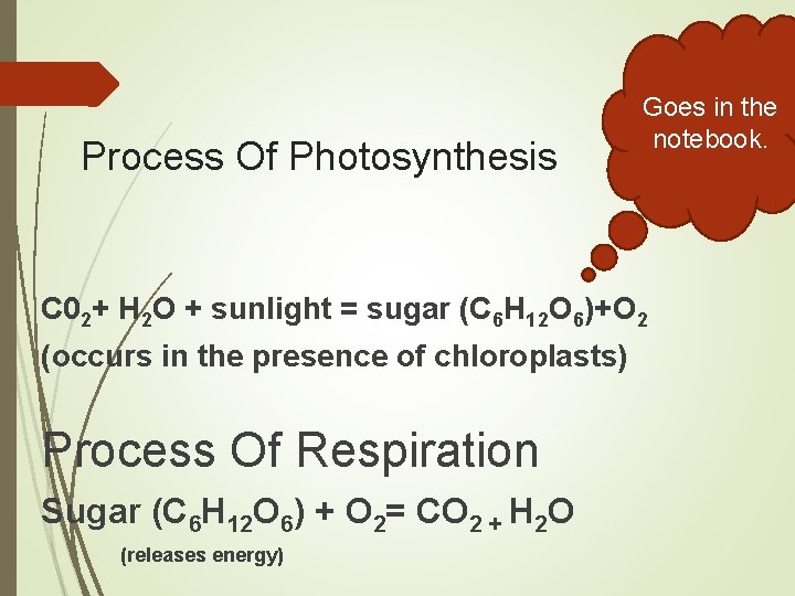 Process Of Photosynthesis Goes in the notebook. C 02+ H 2 O + sunlight