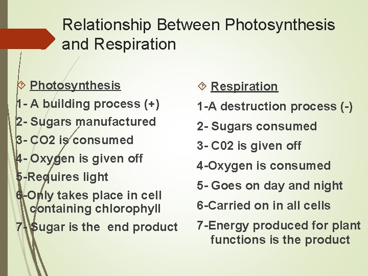 Relationship Between Photosynthesis and Respiration Photosynthesis 1 - A building process (+) 2 -