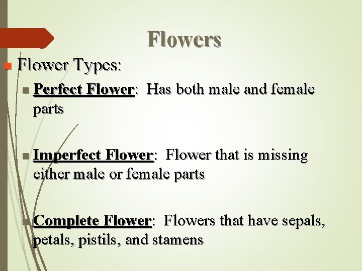 Flowers n Flower Types: n n n Perfect Flower: Has both male and female