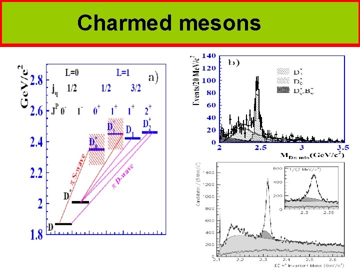 Charmed mesons 