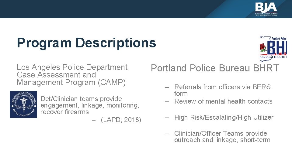 Program Descriptions Los Angeles Police Department Case Assessment and Management Program (CAMP) – Det/Clinician