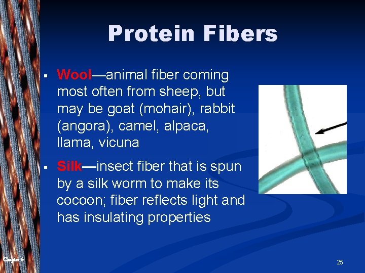 Protein Fibers Chapter 6 § Wool—animal fiber coming most often from sheep, but may