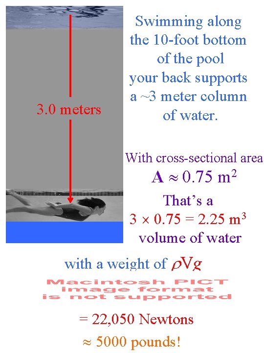 3. 0 meters Swimming along the 10 -foot bottom of the pool your back