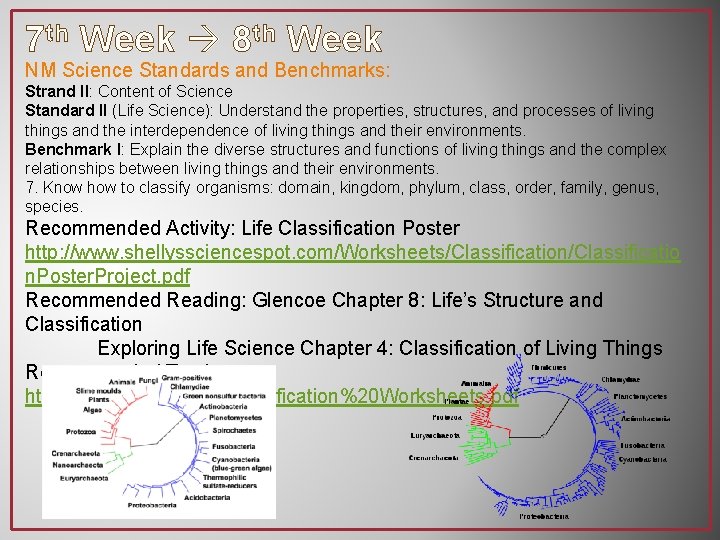 7 th Week 8 th Week NM Science Standards and Benchmarks: Strand II: Content