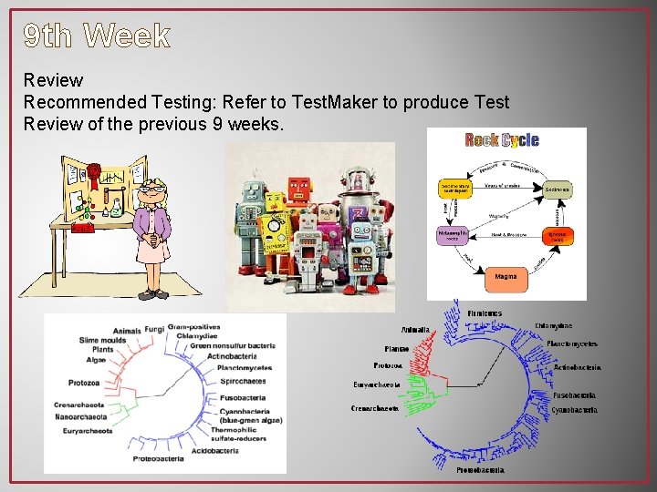9 th Week Review Recommended Testing: Refer to Test. Maker to produce Test Review