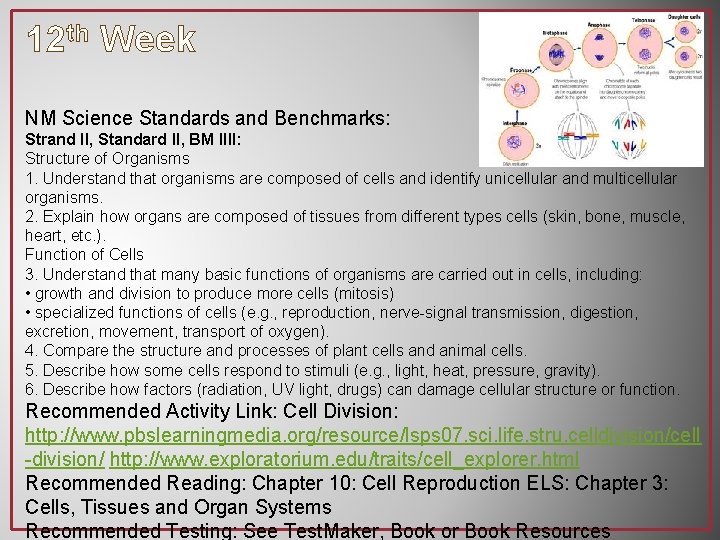 12 th Week NM Science Standards and Benchmarks: Strand II, Standard II, BM IIII: